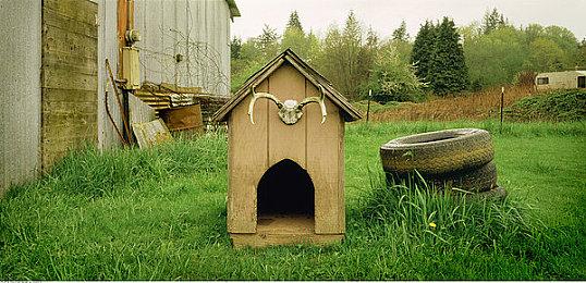 CRPG游戏《公会编年史：失落的世界》8月8日发售 不支持简体中文